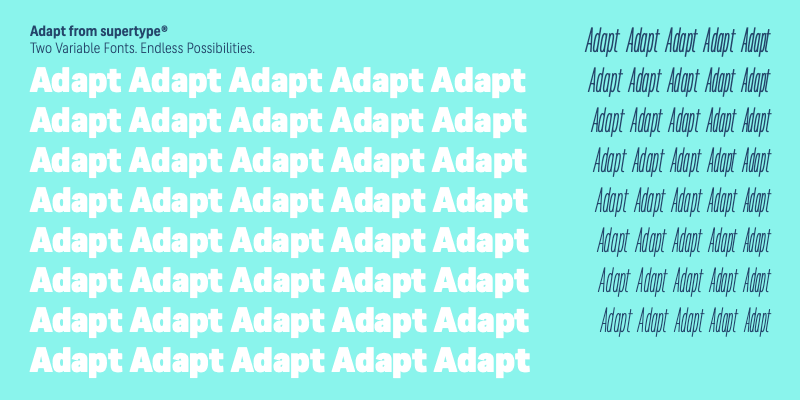 Card displaying Adapt Variable typeface in various styles