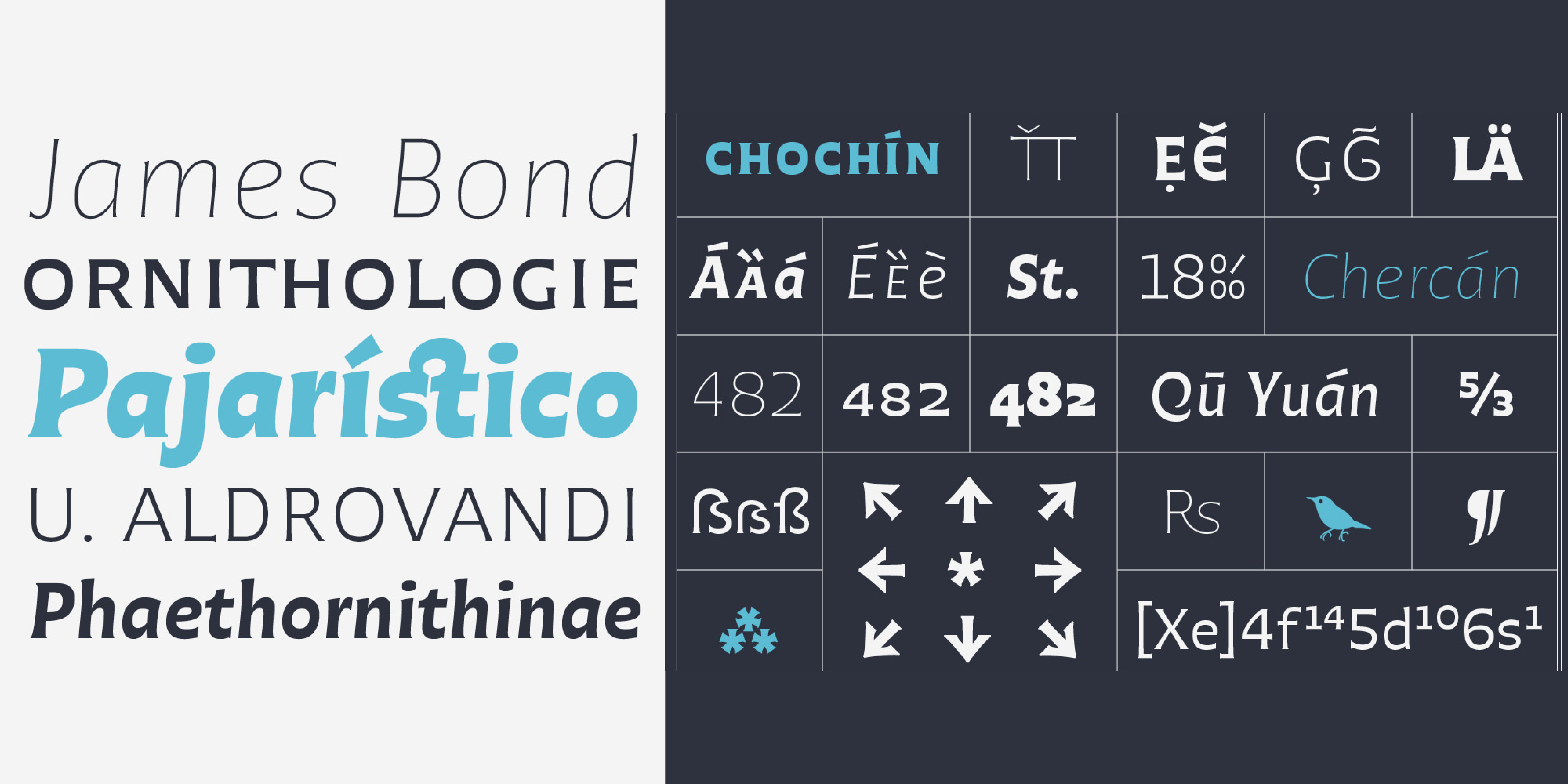 Card displaying Chercán typeface in various styles