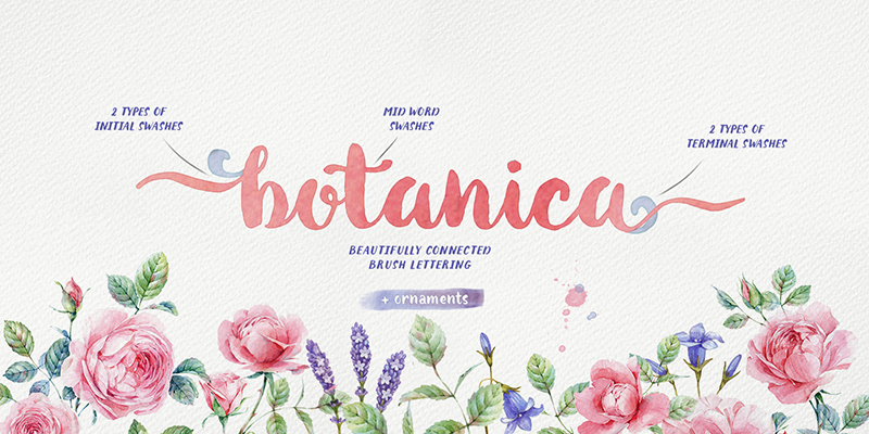 Card displaying Botanica typeface in various styles