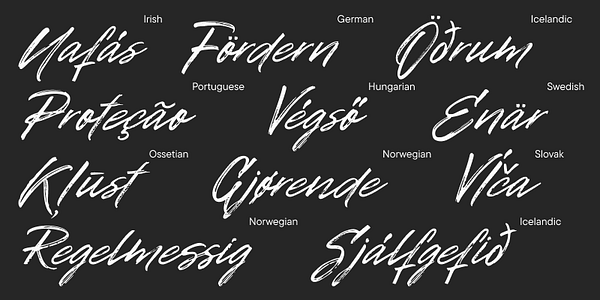Card displaying TT Disruptors typeface in various styles