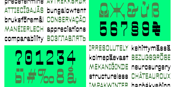 Card displaying Oigle typeface in various styles