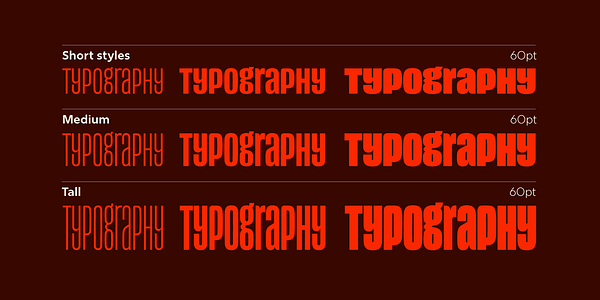 Card displaying Reel typeface in various styles