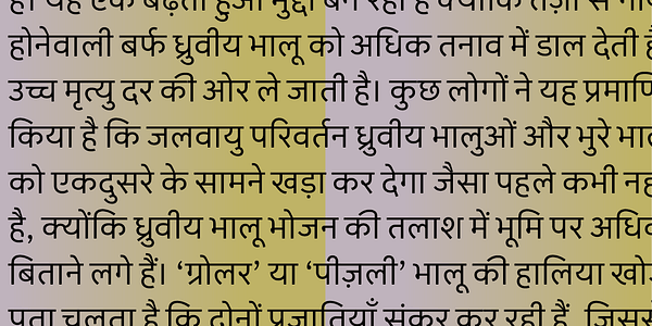 Card displaying Sarvatrik Devanagari typeface in various styles