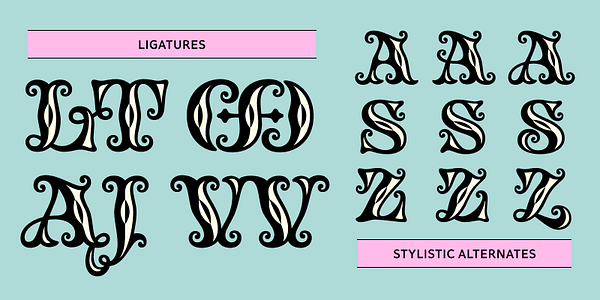 Card displaying Tusque typeface in various styles