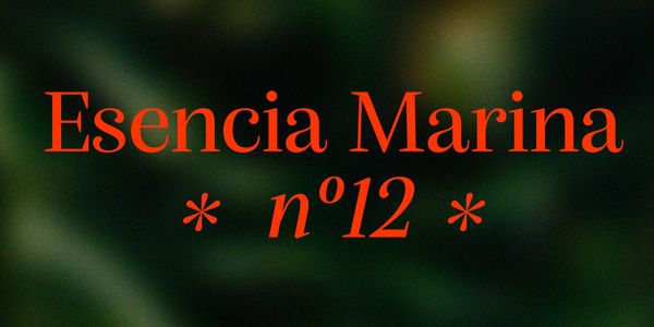 Card displaying Alga Variable typeface in various styles