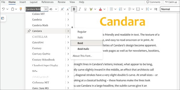 Card displaying Candara typeface in various styles