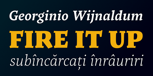 Card displaying Tzimmes typeface in various styles