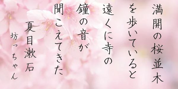 Card displaying AH Hakushu Handwritten Font typeface in various styles