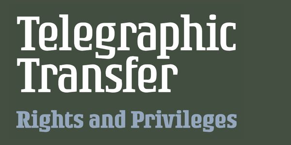 Card displaying Rogue Serif typeface in various styles