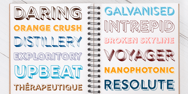 Card displaying Rig Solid typeface in various styles