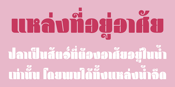 Card displaying Blenny Thai typeface in various styles