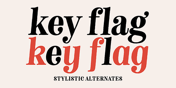 Card displaying Neato Serif typeface in various styles