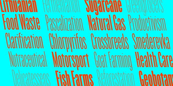 Card displaying Origin Super Condensed typeface in various styles