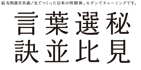 Card displaying Kinuta Marumin Fuji StdN typeface in various styles