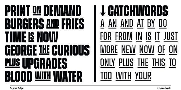 Card displaying Zuume Edge typeface in various styles