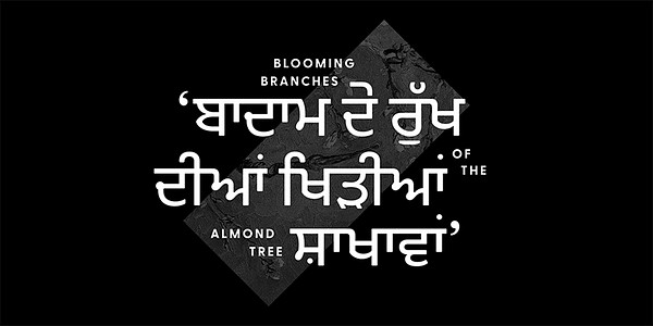 Card displaying Greycliff Gurmukhi CF typeface in various styles