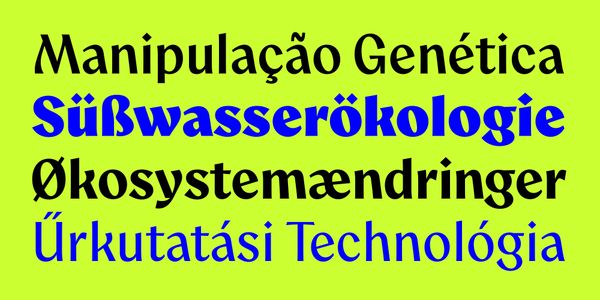 Card displaying Aquavit typeface in various styles