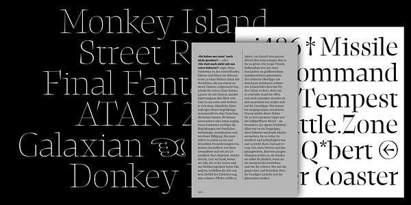 Card displaying NewsSerif Variable typeface in various styles