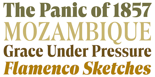 Card displaying Borax Variable typeface in various styles