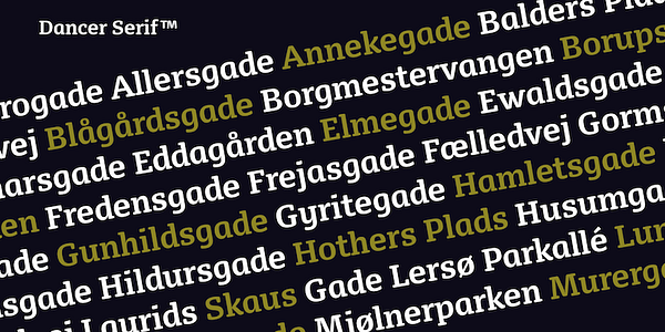 Card displaying FP Dancer Serif typeface in various styles