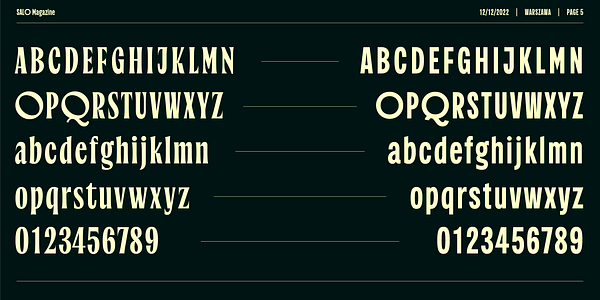 Card displaying Salo Variable typeface in various styles