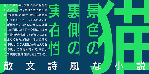 Card displaying FOT-Rodin ProN typeface in various styles