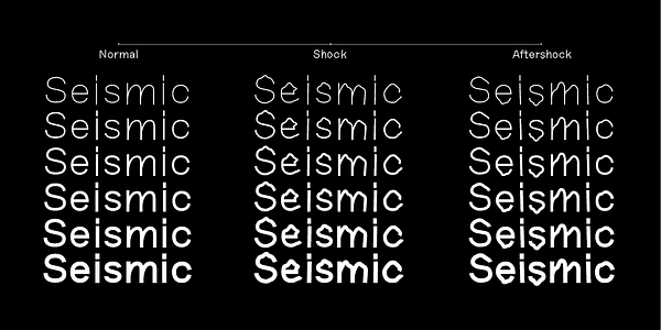 Card displaying Seismic Latin Variable typeface in various styles