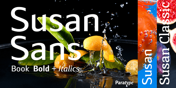 Card displaying Susan typeface in various styles