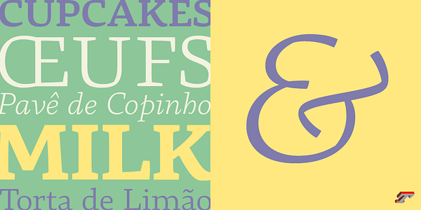 Card displaying Basco typeface in various styles