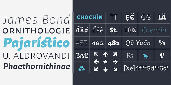 Card displaying Chercán typeface in various styles