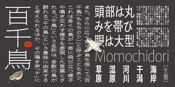 Card displaying Momochidori Variable typeface in various styles