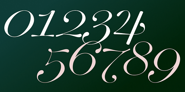 Card displaying Club Lithographer typeface in various styles