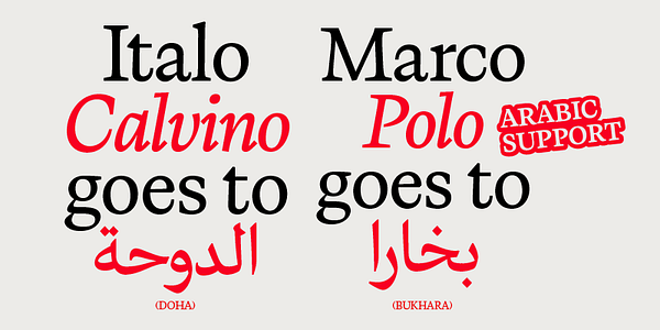 Card displaying Calvino typeface in various styles