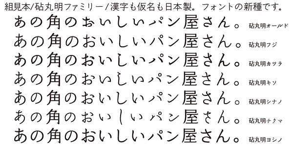 Card displaying Kinuta Marumin Fuji StdN typeface in various styles