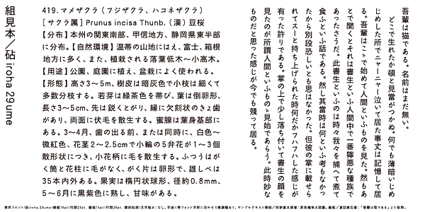 Card displaying Kinuta iroha 29ume StdN typeface in various styles