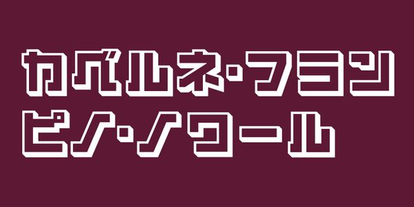 Card displaying VDL-LineG Pop typeface in various styles