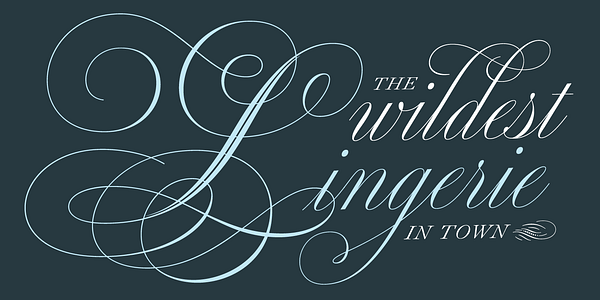 Card displaying Medusa typeface in various styles