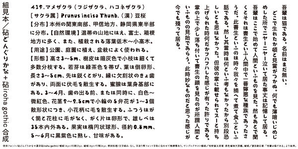 Card displaying Kinuta Donguri Kana typeface in various styles