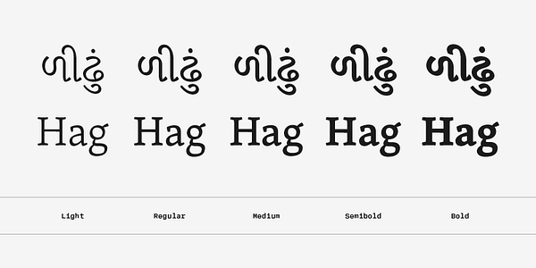 Card displaying Skolar Gujarati typeface in various styles