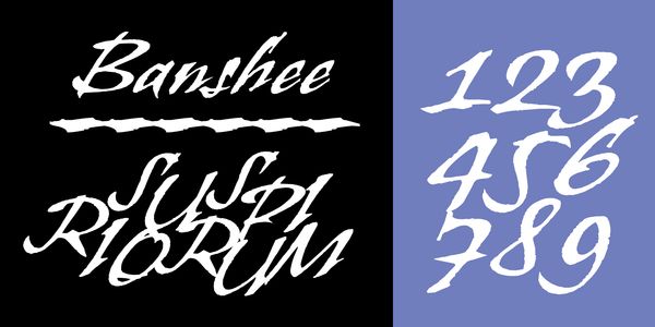 Card displaying Banshee typeface in various styles