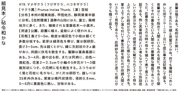 Card displaying Kinuta Reiwa Kana typeface in various styles