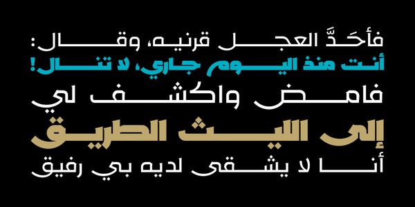 Card displaying Rakan typeface in various styles