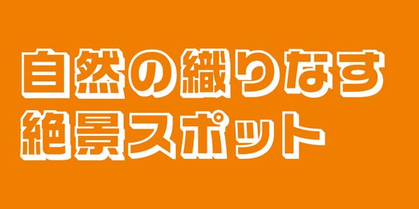 Card displaying VDL-LogoG Pop typeface in various styles