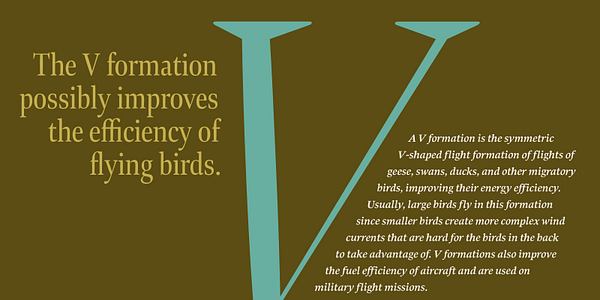 Card displaying Bennet Display typeface in various styles