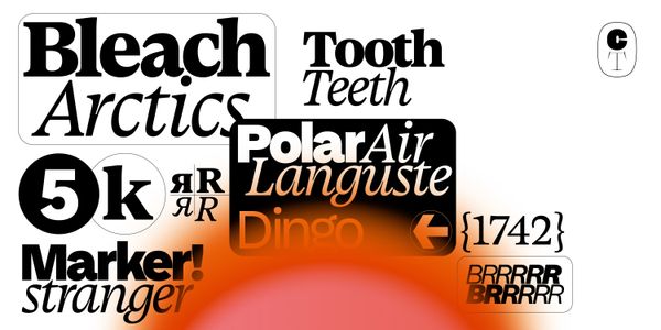 Card displaying Late Serif Variable typeface in various styles