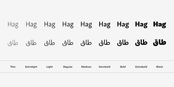 Card displaying Skolar Sans Arabic typeface in various styles