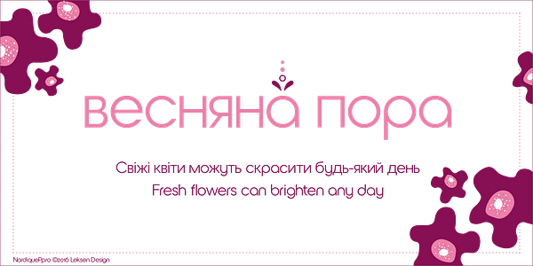 Card displaying Nordique Pro Cyrillic typeface in various styles