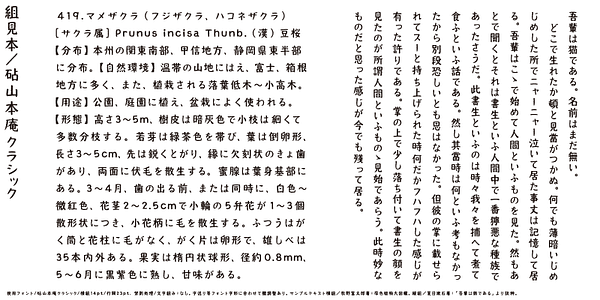 Card displaying Kinuta Yamamotoan Classic StdN typeface in various styles