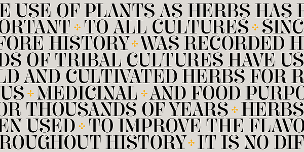 Card displaying Butik typeface in various styles