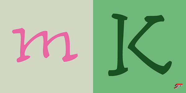 Card displaying Zingiber typeface in various styles